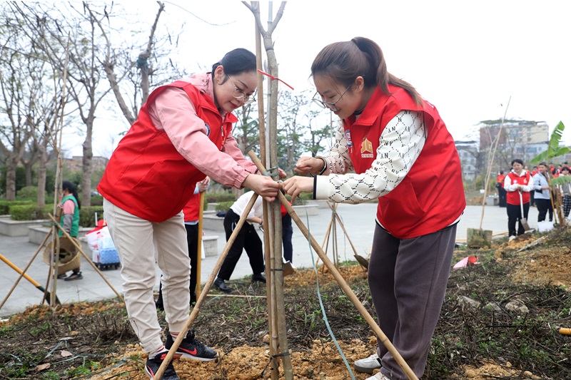 廣咨集團開展植樹節活動